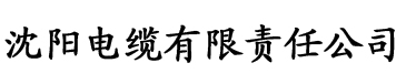 十分钟免费观看高清大全电缆厂logo